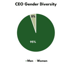 Dallas CEO Diversity