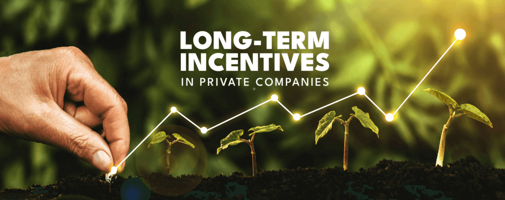 Long-Term Incentives in Private Companies