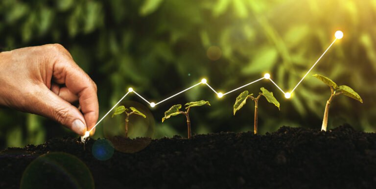 Hand planting seed for growth