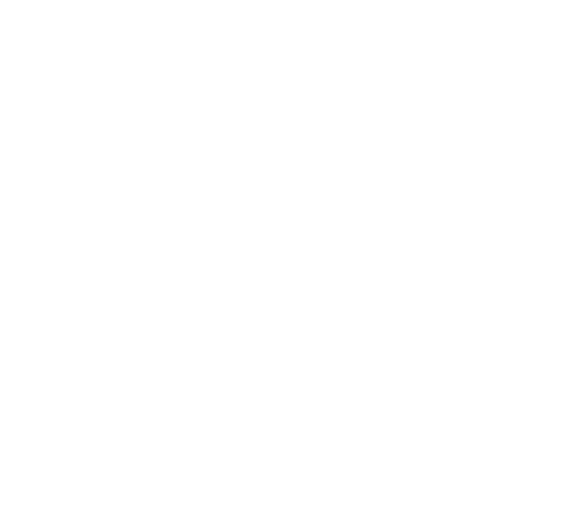 z-logo-white-big