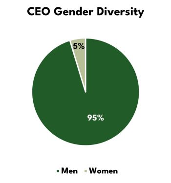 Denver CEO diversity in 2022