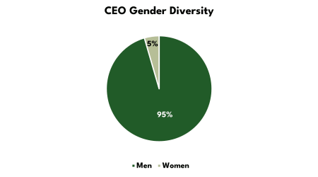 Houston CEO gender diversity 2024