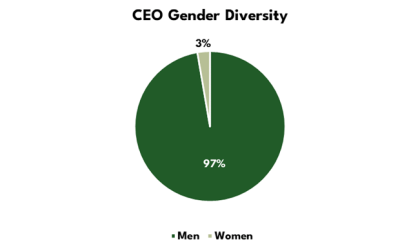 top 10 houston ceo men vs women